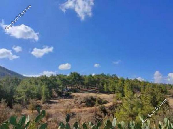 land for sale nikitari nicosia 8716143 image 16294497