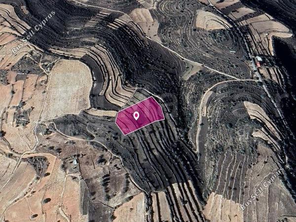 land for sale pachna limassol 7872143 image 11384277