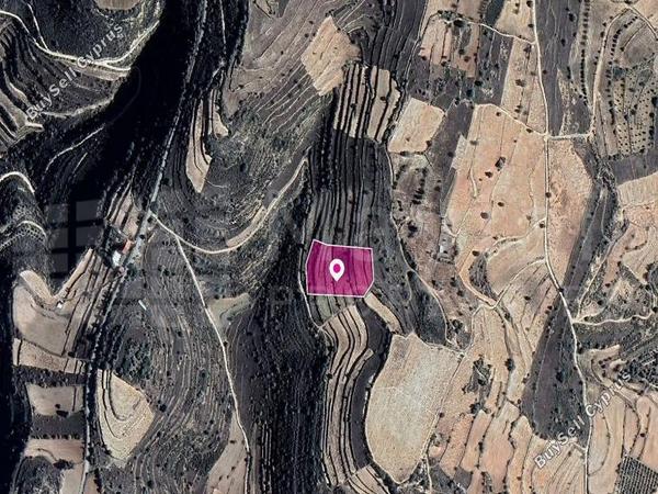 land for sale pachna limassol 7872143 image 11384279