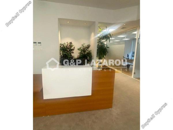 studio office for rent makedonitissa nicosia 8209143 image 15879499