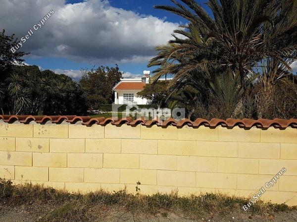 2 bedroom detached house for sale zygi larnaca 1728243 image 6146471