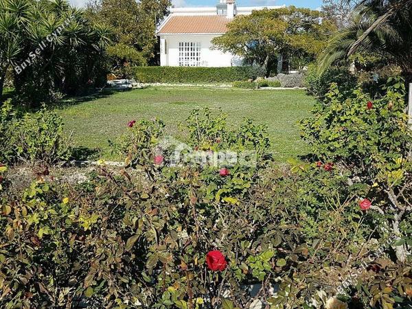 2 bedroom detached house for sale zygi larnaca 1728243 image 6146502