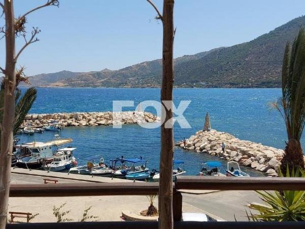 4 bedroom detached house for sale pomos paphos 1270243 image 10032469