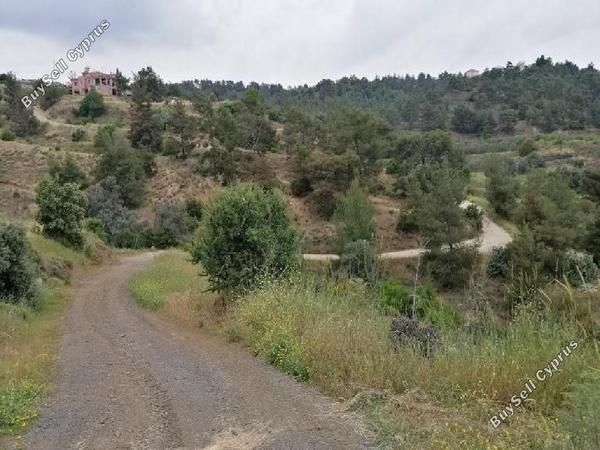 land for sale kapedes nicosia 946243 image 15601811