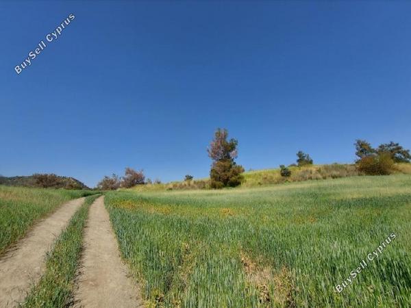 land for sale lythrodontas nicosia 1105243 image 15866020