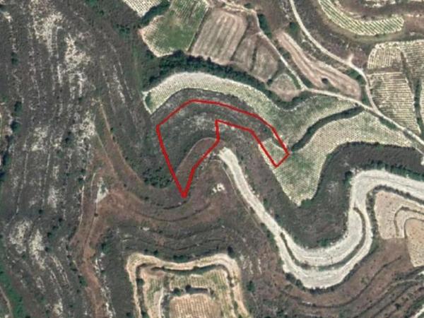 land for sale pachna limassol 8139243 image 14760798