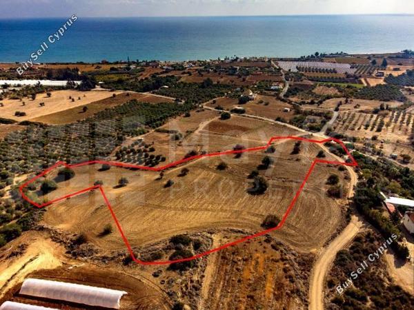 land for sale agios theodoros larnacas larnaca 7871343 image 13741218