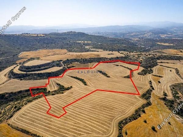 land for sale choirokoitia larnaca 1196343 image 5594934