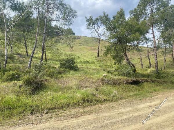 land for sale pano pyrgos nicosia 8140343 image 15596165
