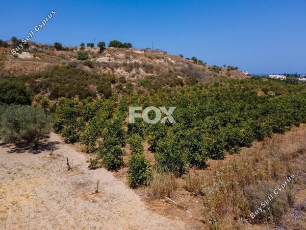 land for sale poli chrysochous paphos 1937343 image 7656630