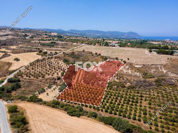 land for sale poli chrysochous paphos 1937343 image 7656635