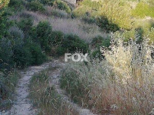land for sale vouni limassol 1146343 image 9462738