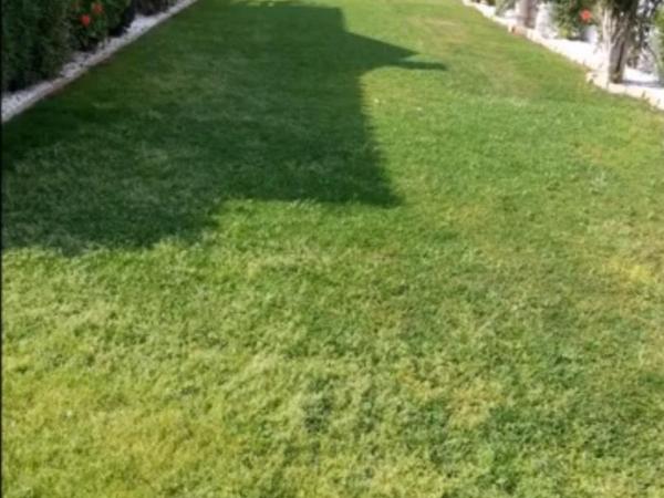 5 bedroom detached house for sale neapolis limassol 1396443 image 12644772