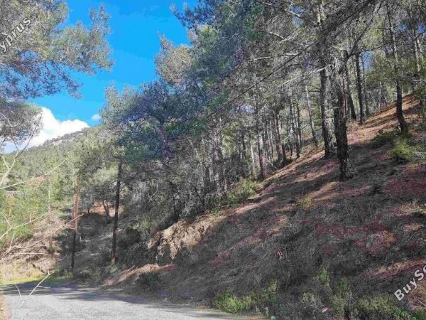 land for sale moniatis limassol 1619443 image 15422550