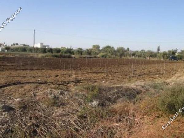 land for sale deftera nicosia 830543 image 2826347
