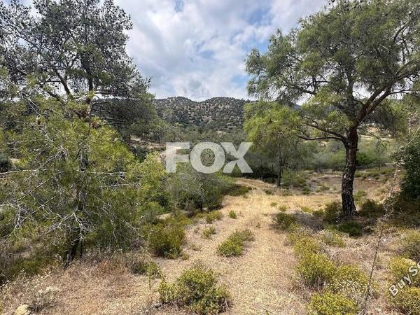 land for sale foinikaria limassol 1395543 image 5609492
