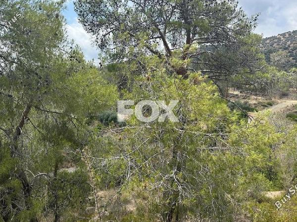 land for sale foinikaria limassol 1395543 image 5609495
