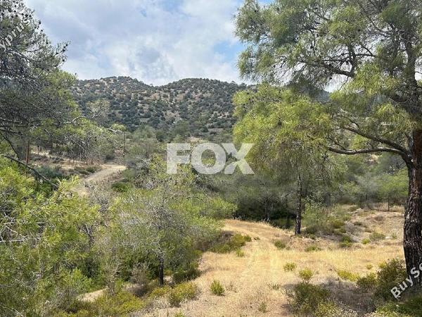 land for sale foinikaria limassol 1395543 image 5609499
