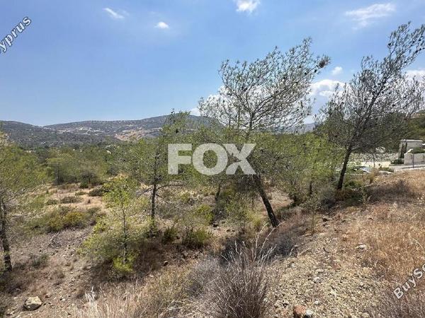 land for sale foinikaria limassol 1395543 image 5609509