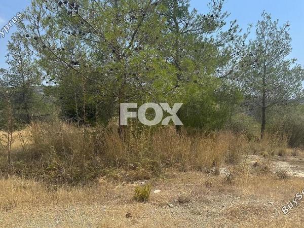 land for sale foinikaria limassol 1395543 image 5609517