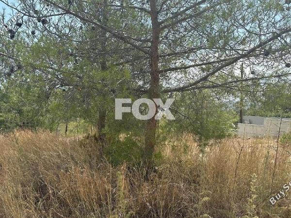 land for sale foinikaria limassol 1395543 image 5609526