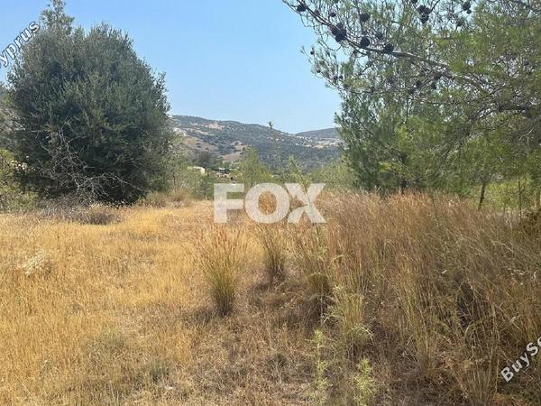land for sale foinikaria limassol 1395543 image 5609530