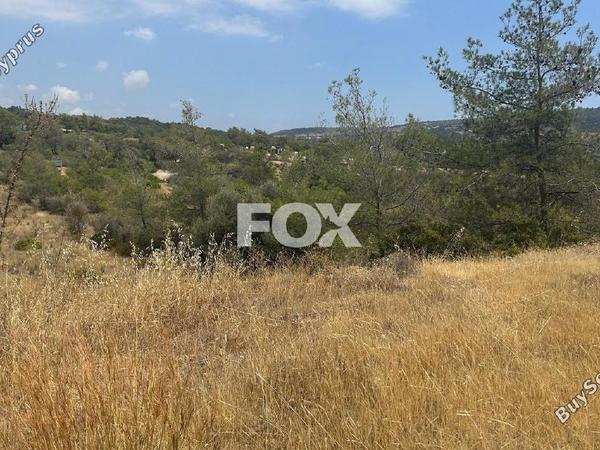 land for sale foinikaria limassol 1395543 image 5609534
