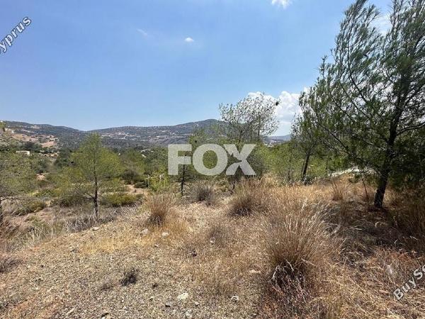 land for sale foinikaria limassol 1395543 image 5609538