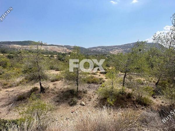 land for sale foinikaria limassol 1395543 image 5609544