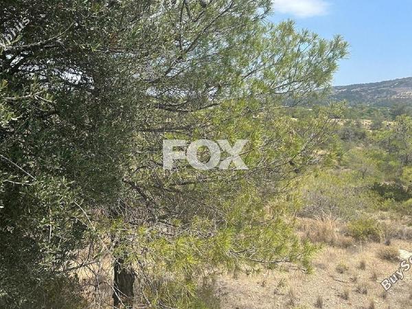 land for sale foinikaria limassol 1395543 image 5609548