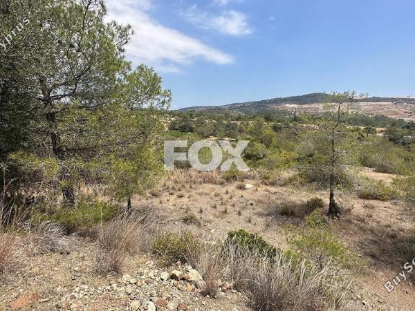 land for sale foinikaria limassol 1395543 image 5609552