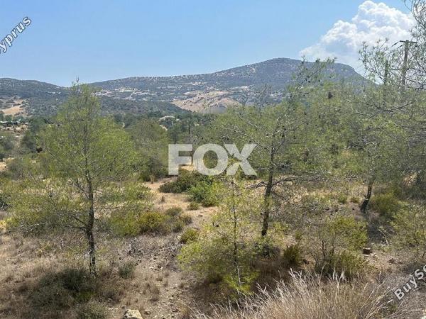 land for sale foinikaria limassol 1395543 image 5609561