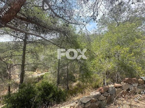 land for sale foinikaria limassol 1395543 image 5609565