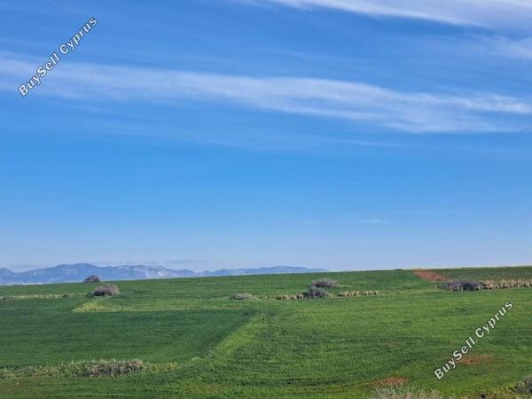 land for sale peristerona lefkosias nicosia 8244543 image 13833691