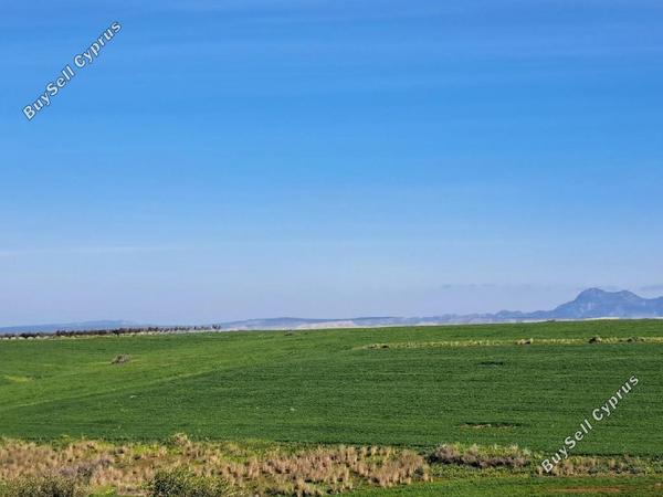 land for sale peristerona lefkosias nicosia 8244543 image 13833693