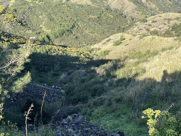 land for sale pigenia nicosia 1744543 image 4766276