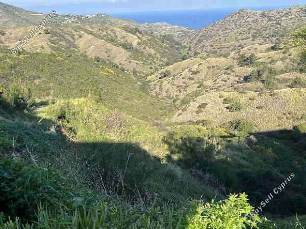 land for sale pigenia nicosia 1744543 image 4766279