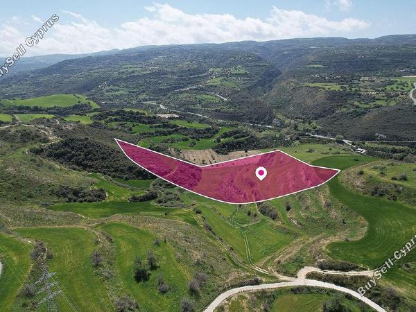 land for sale skoulli paphos 1897543 image 14206277