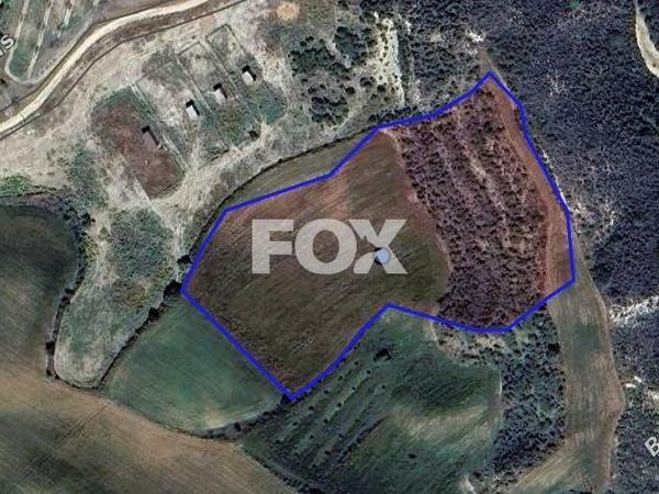 land for sale steni paphos 1516543 image 5632657
