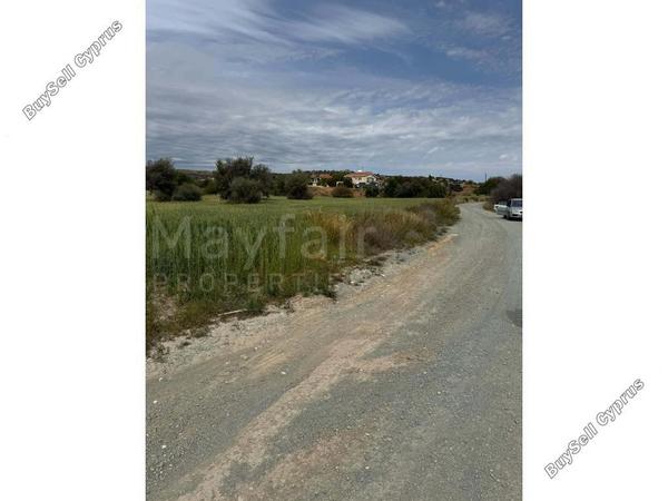 land for sale tochni larnaca 8463543 image 15137661