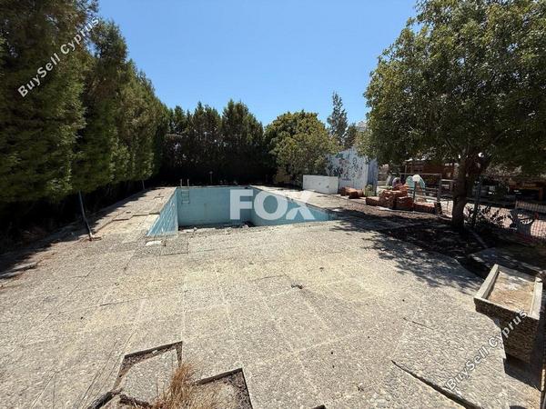 studio commercial building for rent agios nektarios limassol 8140543 image 13398947