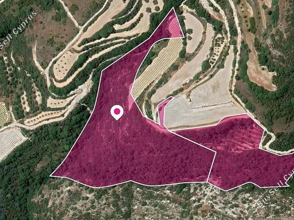 land for sale theletra paphos 8629643 image 15869440