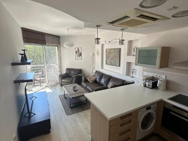 1 bedroom apartment for rent potamos germasogeias limassol 1905743 image 16340060