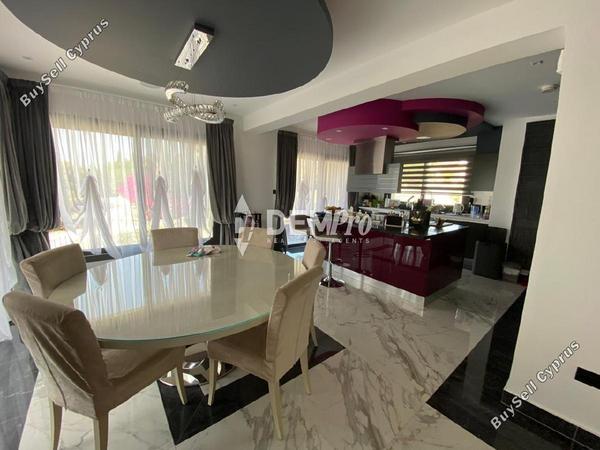 4 bedroom detached house for sale sea caves peyia paphos 7812743 image 12696345