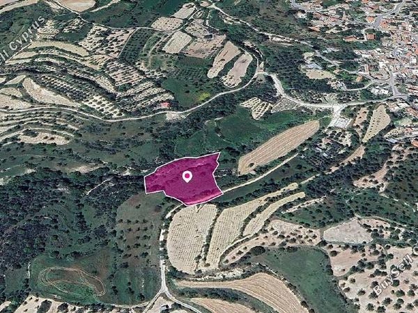 land for sale kallepeia paphos 1897743 image 14208040