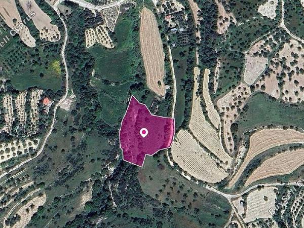land for sale kallepeia paphos 1897743 image 14208045
