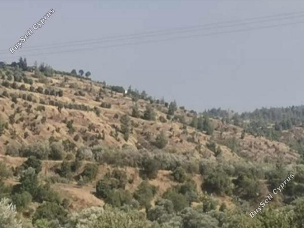 land for sale kampia nicosia 8726743 image 16333616