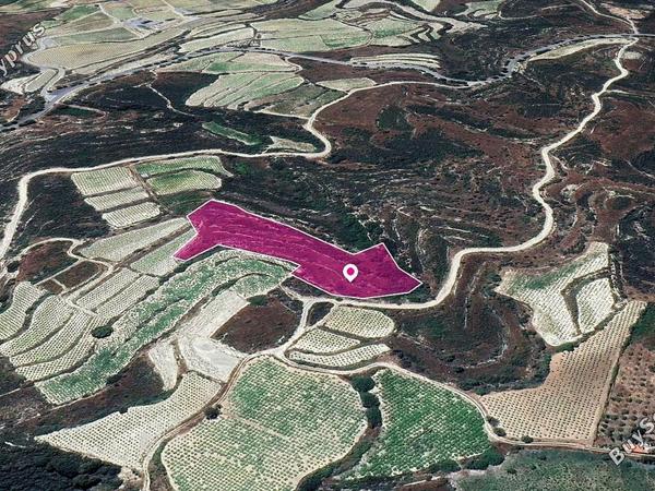 land for sale koilani limassol 1213743 image 14113759