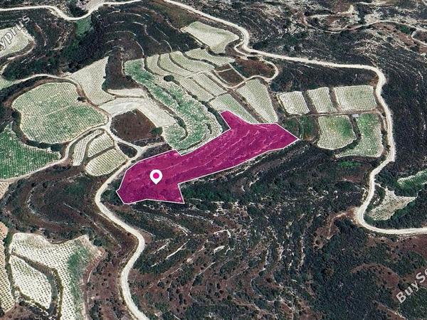 land for sale koilani limassol 1213743 image 14113777
