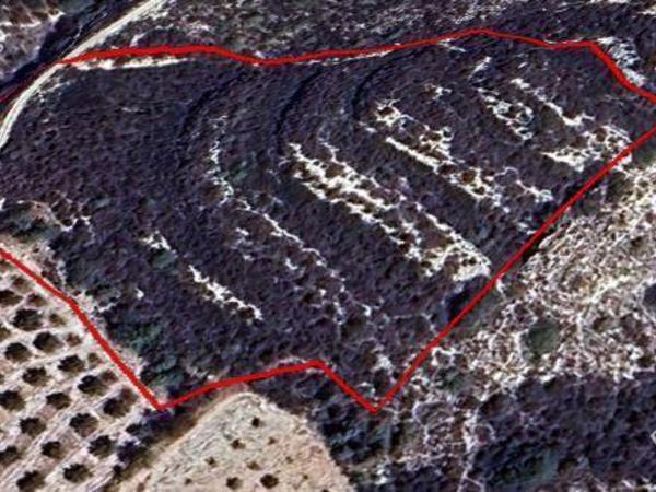 land for sale mesogi paphos 1679743 image 4361750